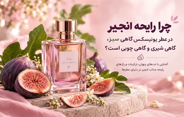 رایحه انجیر